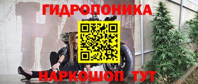 прущие грибы Кумертау