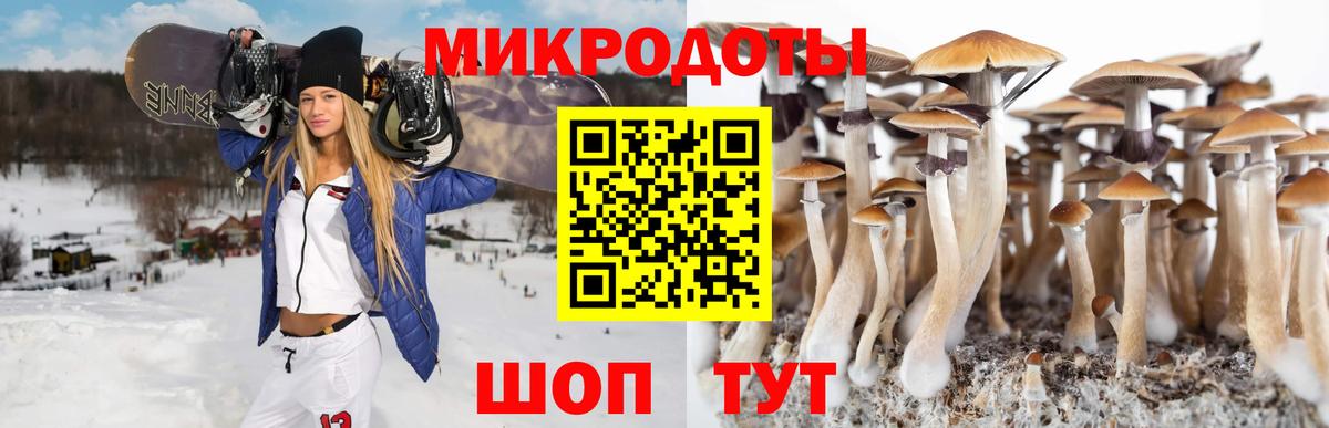 Псилоцибиновые грибы мухоморы Ишим